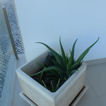 Privada Confortavel Com Piscina Em * 圣马蒂纽·杜·波特